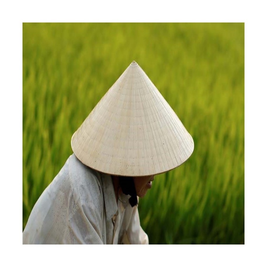 Bamboo Palm Leaf Conical Hat Wholesale High Quality And Best Price From 99 Gold Data