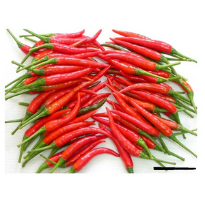 BEST SELLING FROZEN CHILI FOOD BEST PRICE FREEZE RED CHILLI HIGH QUALITY FROZEN HOT RED CHILI FROM VIETNAM