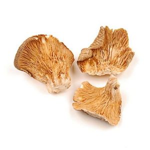 Wholesales Competitive Price Type Origin Dry Mushroom Dried Oyster Mushroom