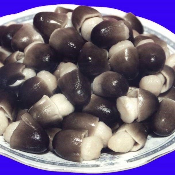 Premium Quality Canned Straw Mushroom for Vegetarian food  Mushroom Best Price