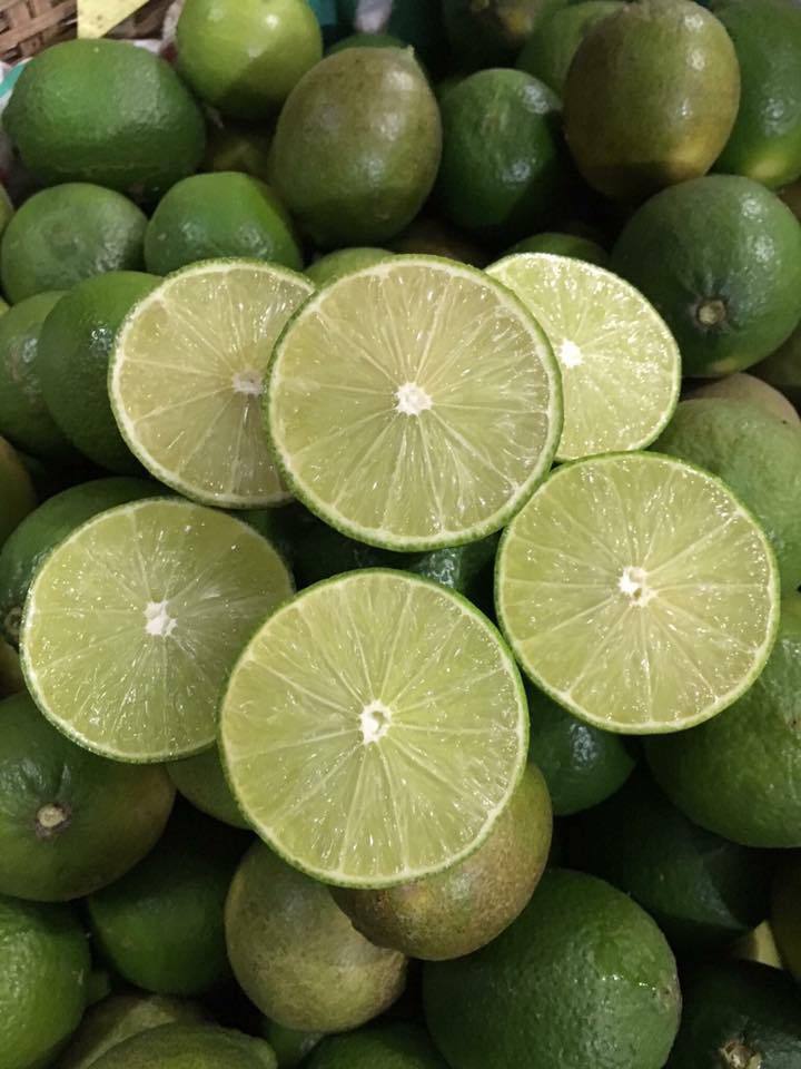 GREEN FRESH SEEDLESS LIME FRESH CITRUS FRUIT HIGH QUALITY FROM VIETNAM SUPPLIER