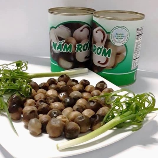 Premium Quality Canned Straw Mushroom for Vegetarian food  Mushroom Best Price