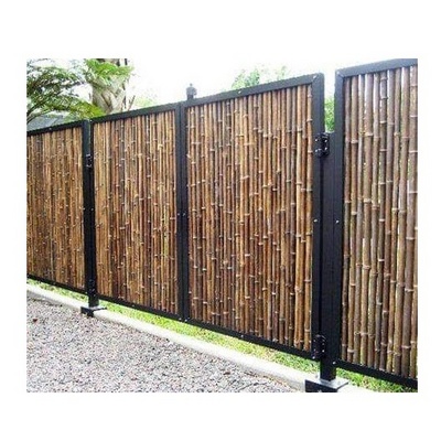 NATURAL GREEN BAMBOO POLES FOR BAMBOO FENCE BEST PRICE FROM VIETNAM//Rachel: +84896436456