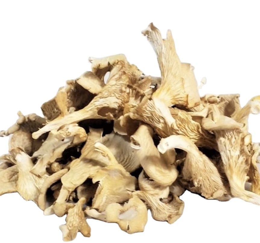 BEST MUSHROOM QUALITY WHOLESALE FOR RESTAURANT DRIED OYSTER MUSHROOM NEW HARVEST