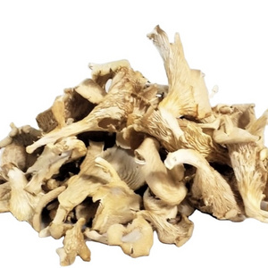 BEST MUSHROOM QUALITY WHOLESALE FOR RESTAURANT DRIED OYSTER MUSHROOM NEW HARVEST