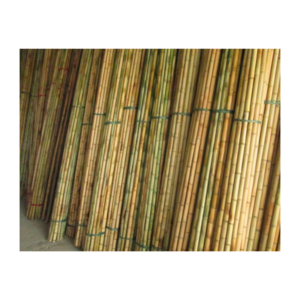 Amazing Bamboo poles sticks wholesale price Raw Bamboo Poles for Gardening and Decoration Bamboo Pole