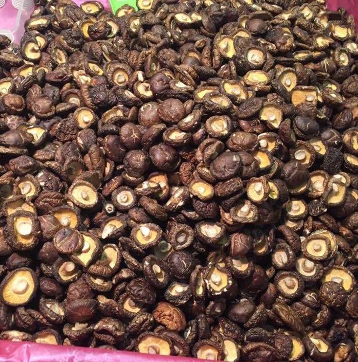 Organic mushroom high quality dried wild mushroom best price in Vietnam Fungus Import Dehydrated Black Mushroom