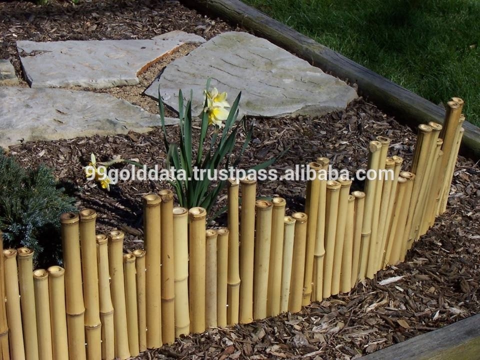 NATURAL GREEN BAMBOO POLES FOR BAMBOO FENCE BEST PRICE FROM VIETNAM//Rachel: +84896436456