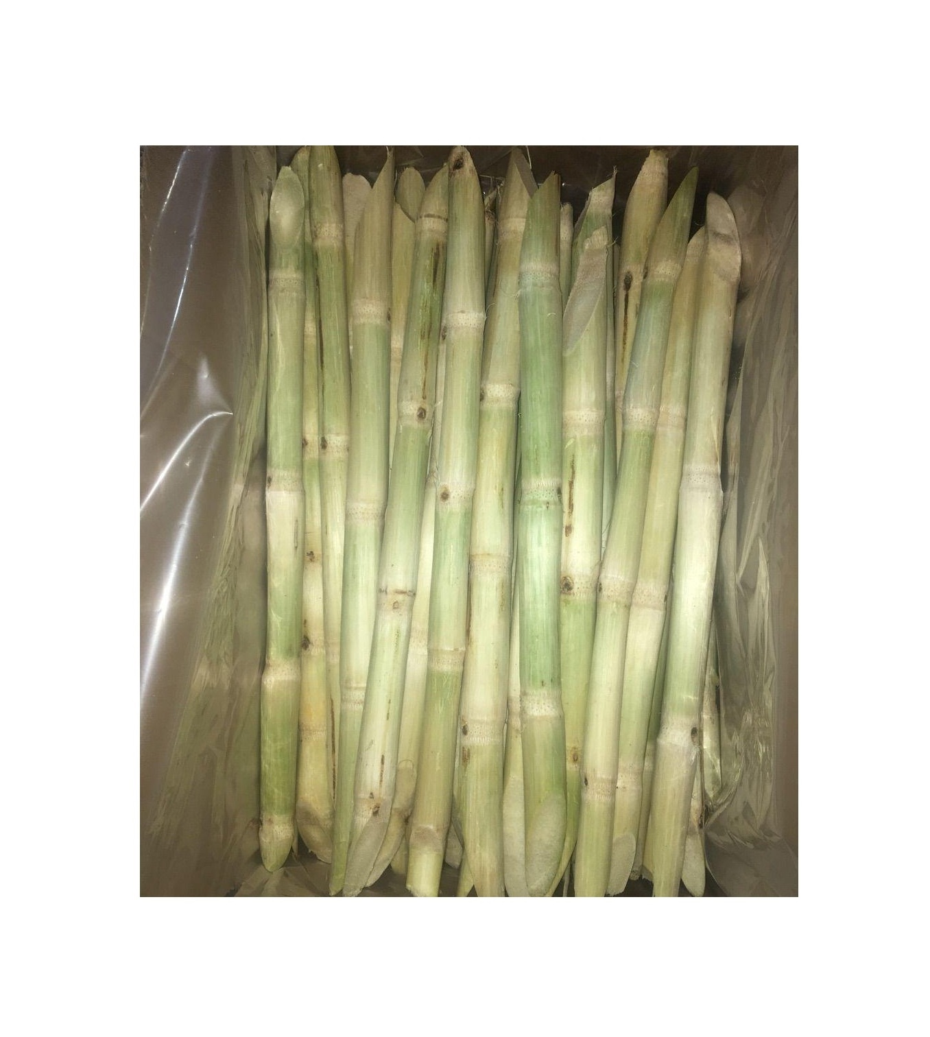 FROZEN SUGARCANE STICK BEST PRICE FROZEN SUGAR CANE FOR WHOLESALER HIGH STANDARD FOR EXPORT