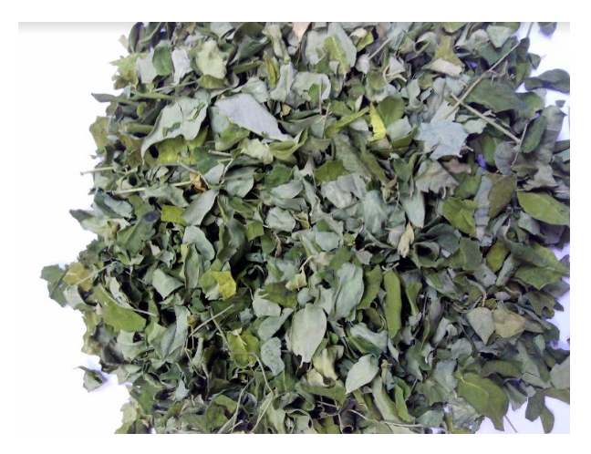 Fast Delivery Dried Moringa Leaves And Powder At Good Price Exporter From Viet Nam