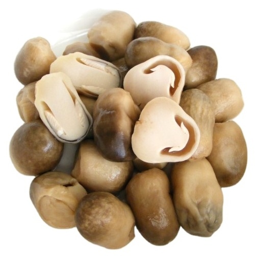 Premium Quality Canned Straw Mushroom for Vegetarian food  Mushroom Best Price