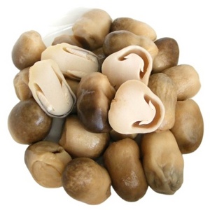 Premium Quality Canned Straw Mushroom for Vegetarian food  Mushroom Best Price