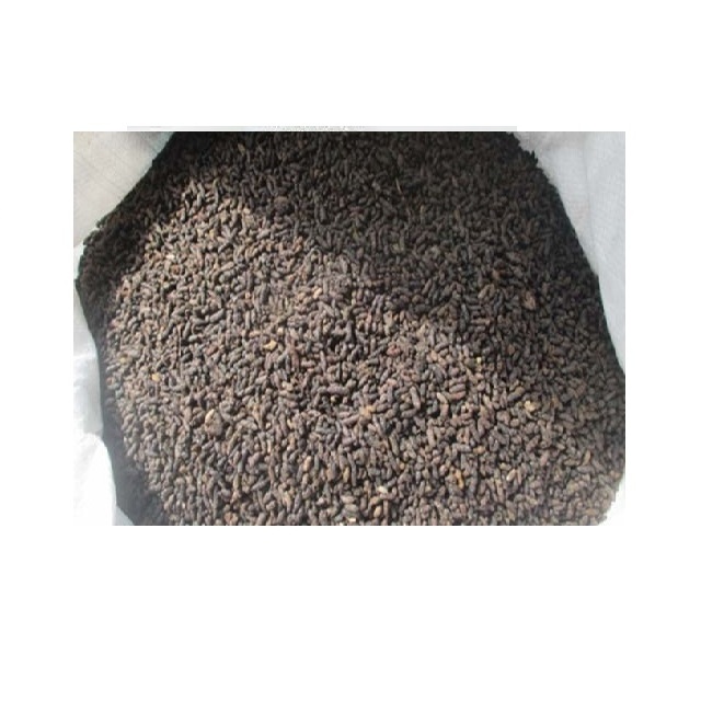 VIETNAM ORGANIC GUANO BAT FERTILIZER BEST PRICE HIGH QUALITY BAT GUANO FERTILIZER VIETNAM //Rachel: +84896436456