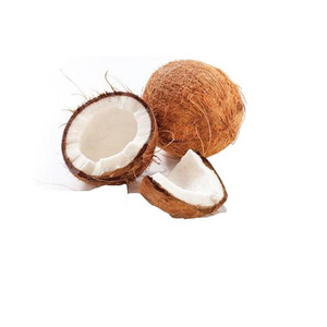 Mature Coconut/Fresh Tender Coconut Semi Husked Coconut (WS: 0084987731263)