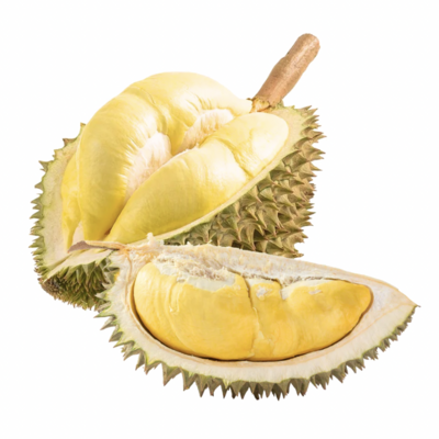 OEM FROZEN DURIAN FRESH TASTE, SWEET, BULK STYLE, ORGANIC AIR PACKED NEW HARVEST FROM VIETNAM