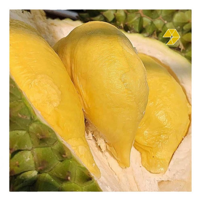 Durian Monthong/Ri6 Frozen Premium Fresh Whole Durian For Export - Frozen Durian Pulp/Meat From Vietnam