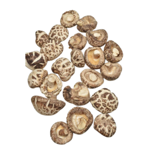 Vietnamese Dried Shiitake Mushroom Dried Mushroom Best price for export