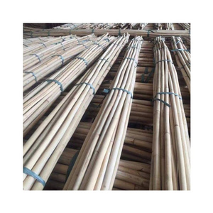 100% Nature Dry Straight Rattan Bamboo pole for sale- Wholesale 18mm to 50mm Polished Rattan Manau Cane Poles