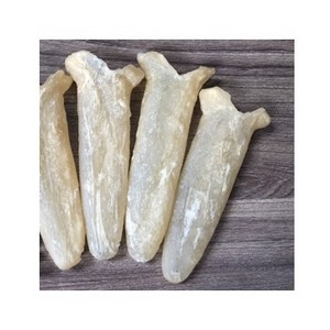 BEST PRICE FISH MAW/FISH BLADDER - PANGASIUS MAW (Whatsapp: +84 339744190)