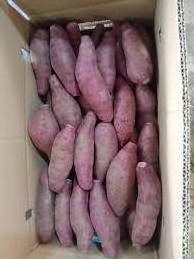 cube shape high quality Sweet potato supplier exporter in Vietnam