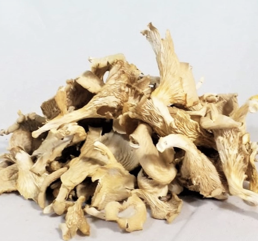 WHOLESALE PRICE OYSTER MUSHROOM AIR DRIED MUSHROOM HIGHEST QUALITY LOWEST PRICE FOR WHOLESALE