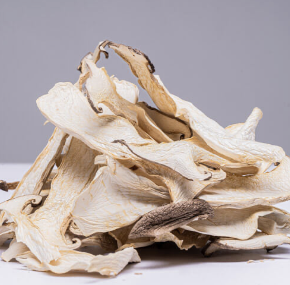 BEST MUSHROOM QUALITY WHOLESALE FOR RESTAURANT DRIED OYSTER MUSHROOM NEW HARVEST