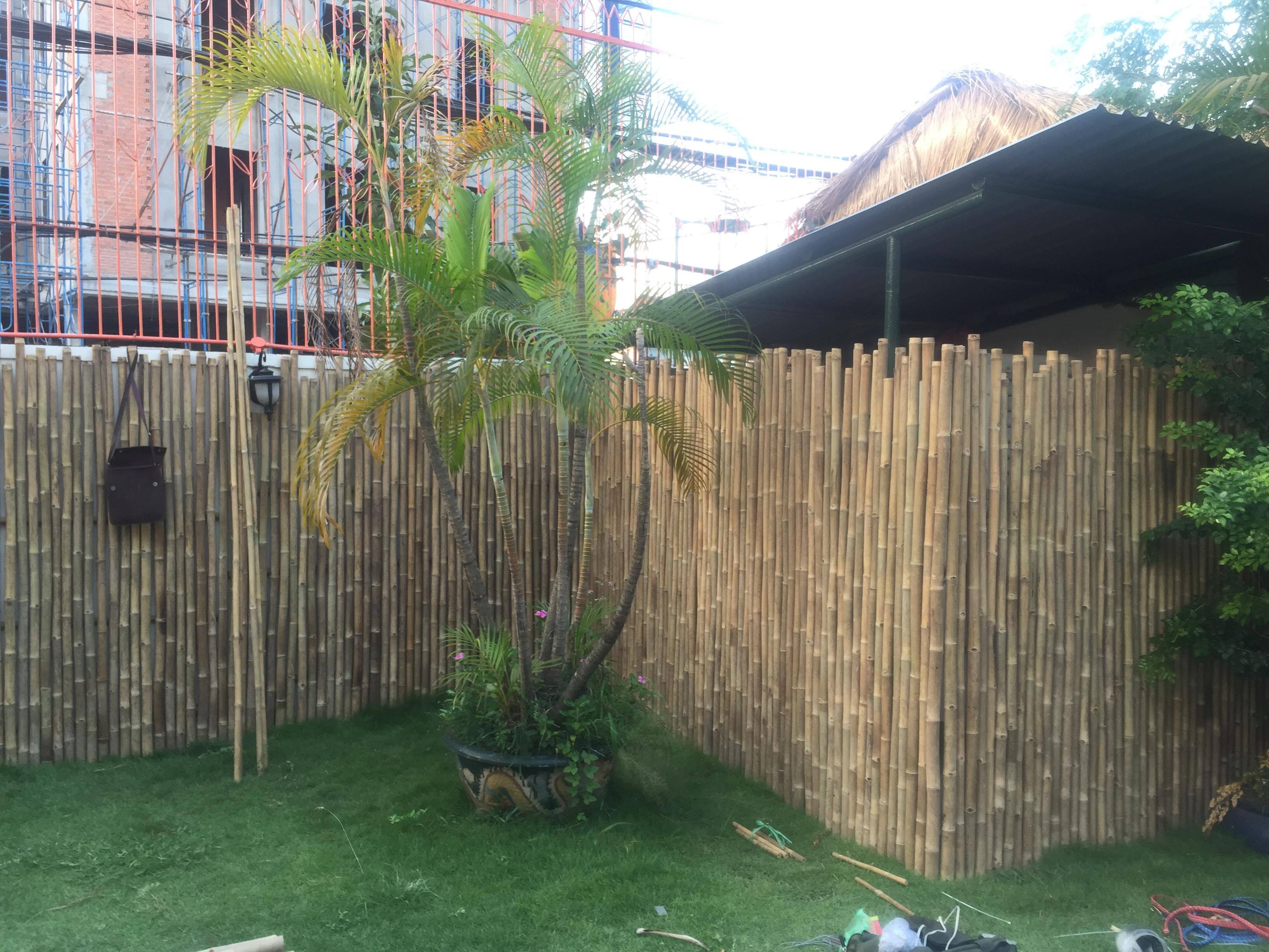 NATURAL GREEN BAMBOO POLES FOR BAMBOO FENCE BEST PRICE FROM VIETNAM//Rachel: +84896436456