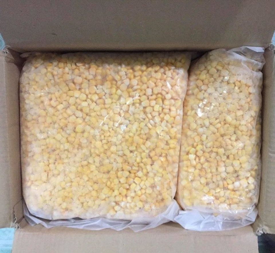 Yellow Corn Cob in Vacuum Packed Maize / Dried Sweet Fresh Corn Ready To Eat / Frozen Corn in bulk