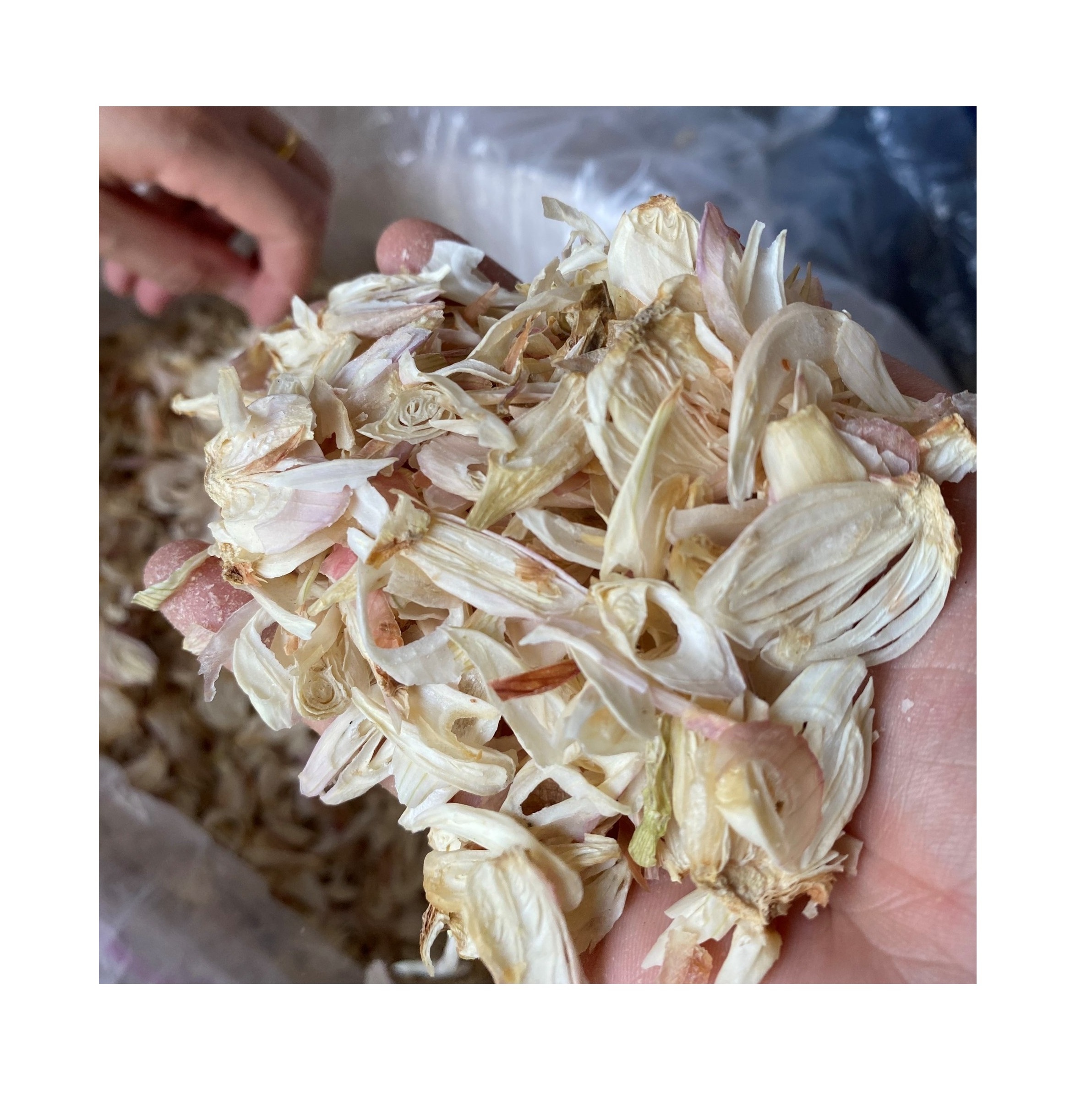 Organic Dried Shallot Dried Red Onion Wholesale Lyophilization Vegetables High Quality From Vietnam