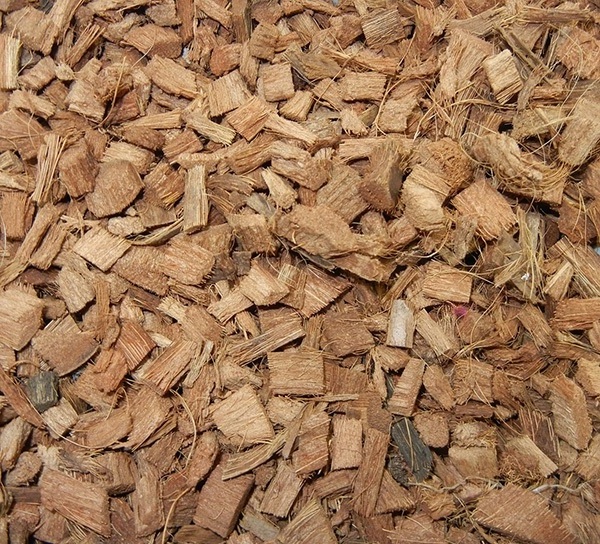 BEST PRICE COCONUT SHELL/ HALF & CRUSHED TYPE