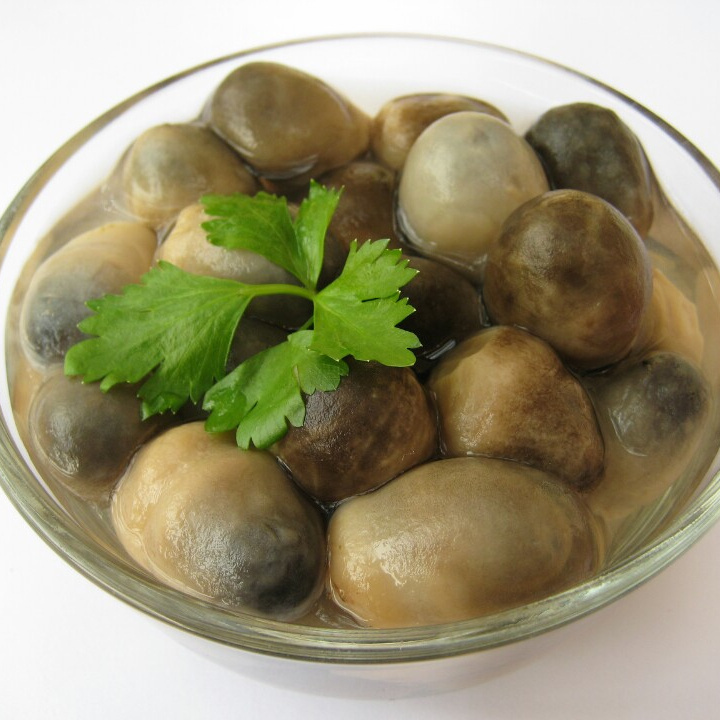 VIETNAM BEST SELLING CANNED STRAW MUSHROOM/ SALTED MUSHROOM//Rachel: +84896436456