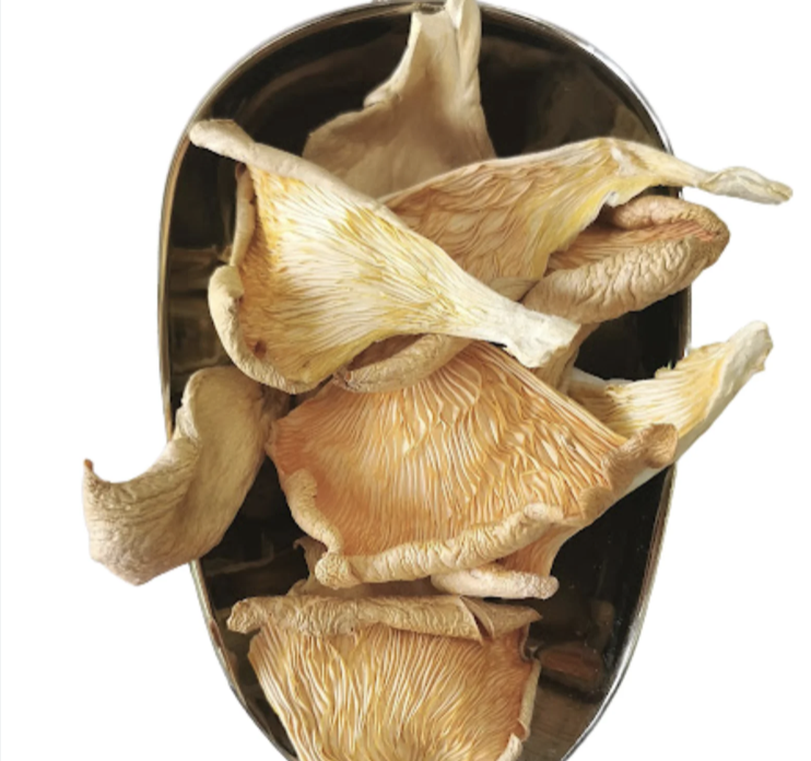 VIETNAMESE DRIED STYLE OYSTER MUSHROOM BEST QUALITY MUSHROOM SELL IN BULK