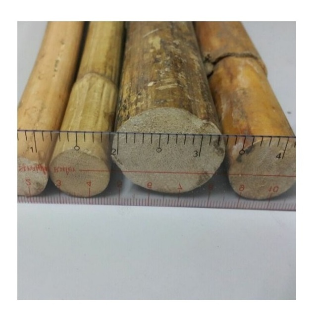 Raw rattan cane/ Rattan cut pole full pole for making Other Furniture