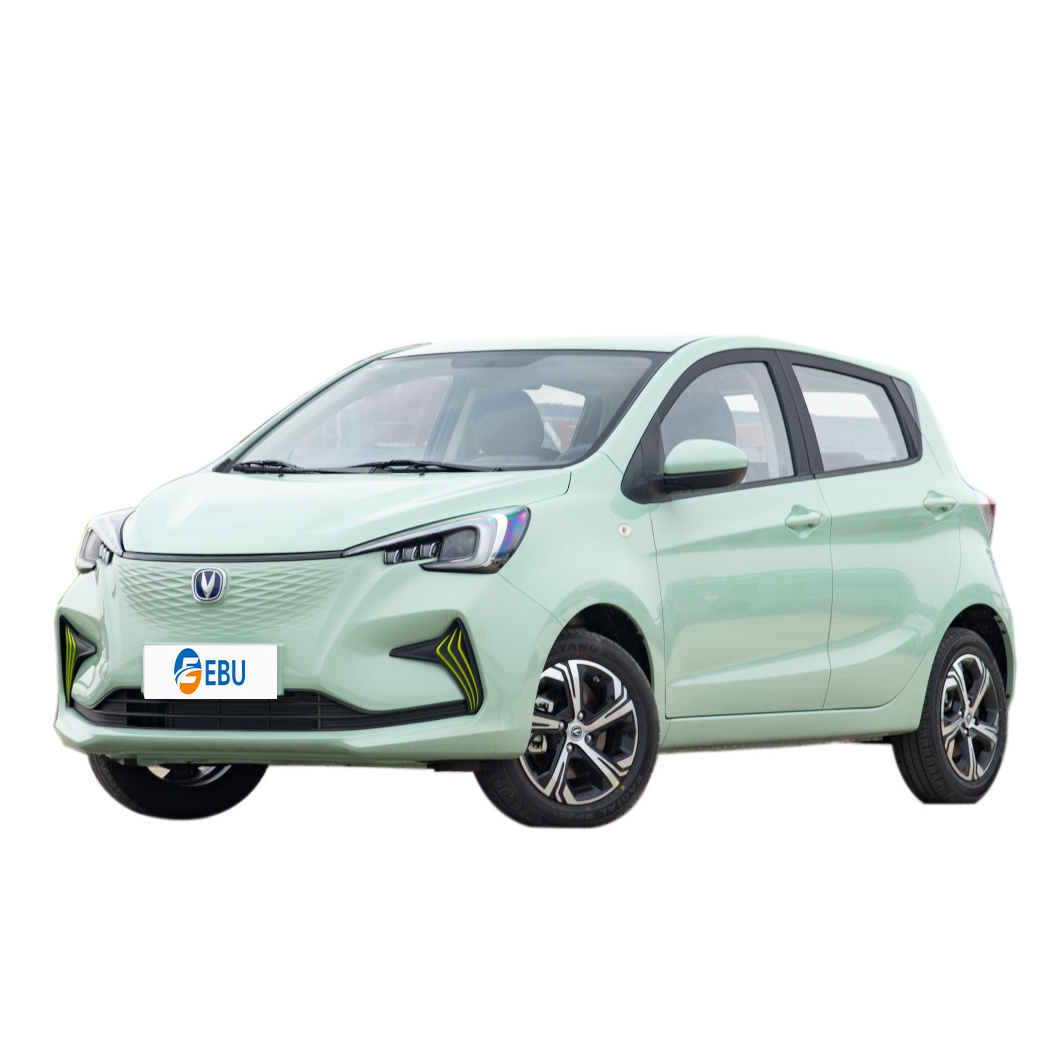 2021 high-speed 100-125/h endurance 150-300km Changan Benben e-star electric car