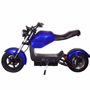 2020 High Quality Factory Direct Sale Fat Tire Fei Bao F1 Electric Motorcycle