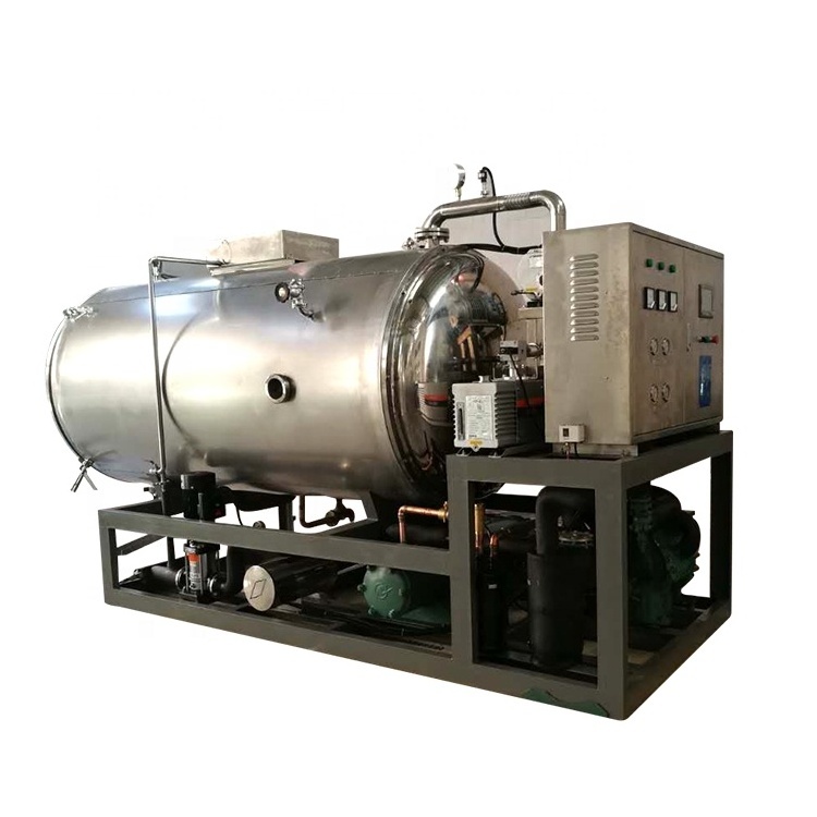 Be vacuum lyophilizer freeze dryer high quality price in selling Europe