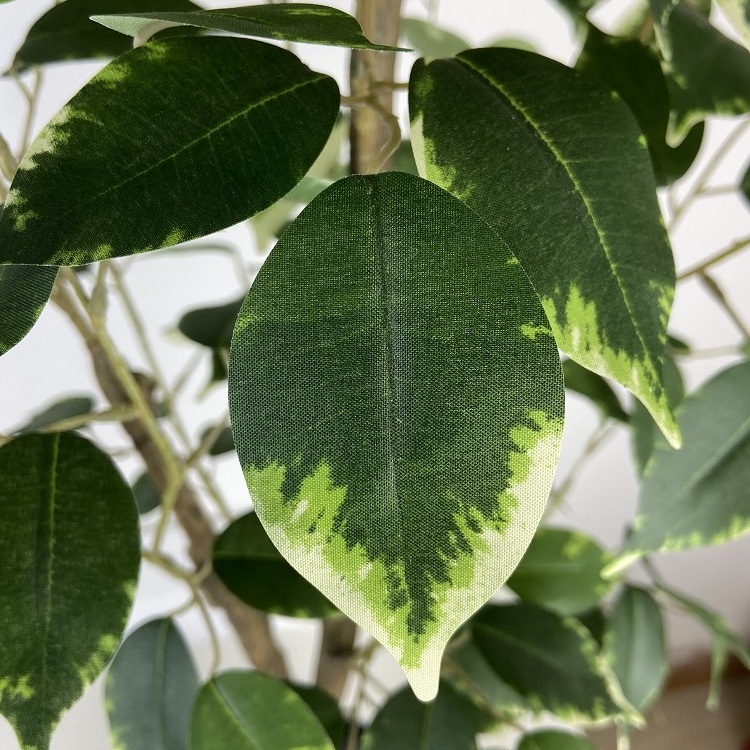 Decorative indoor stereoscopic branch leaves white edge fake banyan tree artificial plant