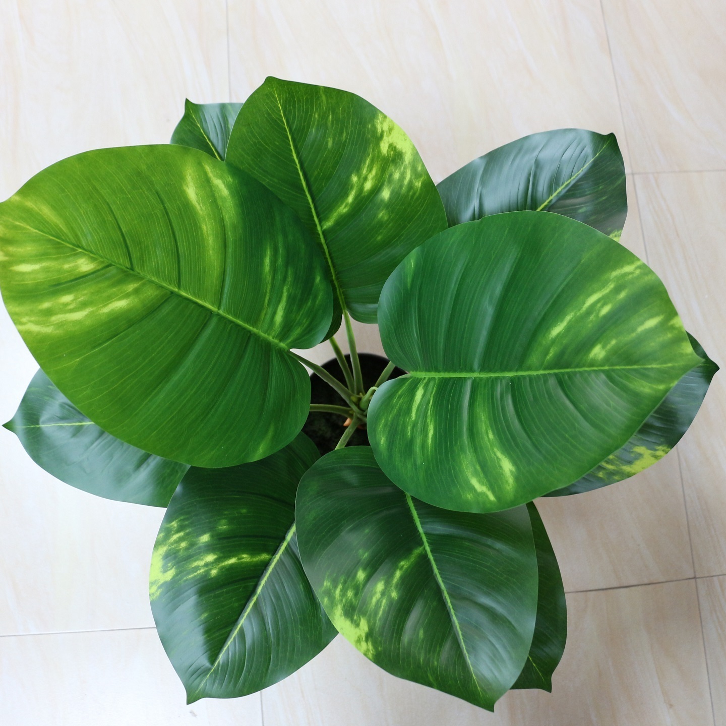 Dieffenbachia Evergreen Plants Tropical Plants Artificial Plant Artificial Tree Indoor Use