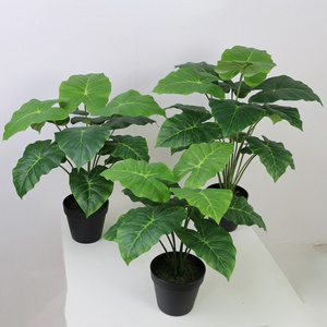 35cm artificial evergreen potted colocasia caladium bonsai for sale