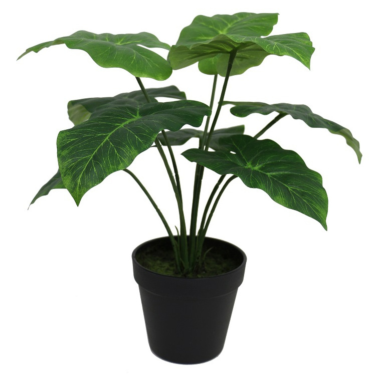 35cm artificial evergreen potted colocasia caladium bonsai for sale