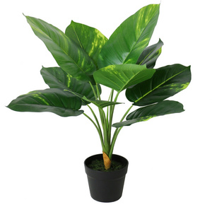 Dieffenbachia Evergreen Plants Tropical Plants Artificial Plant Artificial Tree Indoor Use