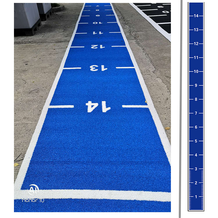 Pull Sled Turf Flooring Volleyball Mat Meter Marked Gym Fitness Artificial Grass