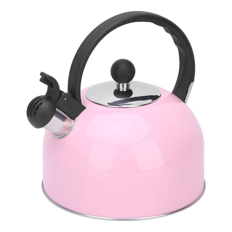 Hot Pink Tea Pot Stainless Steel Metal 2.5L Customized Kitchen Home Modern Whistling Pots Coffee Tea Kettle