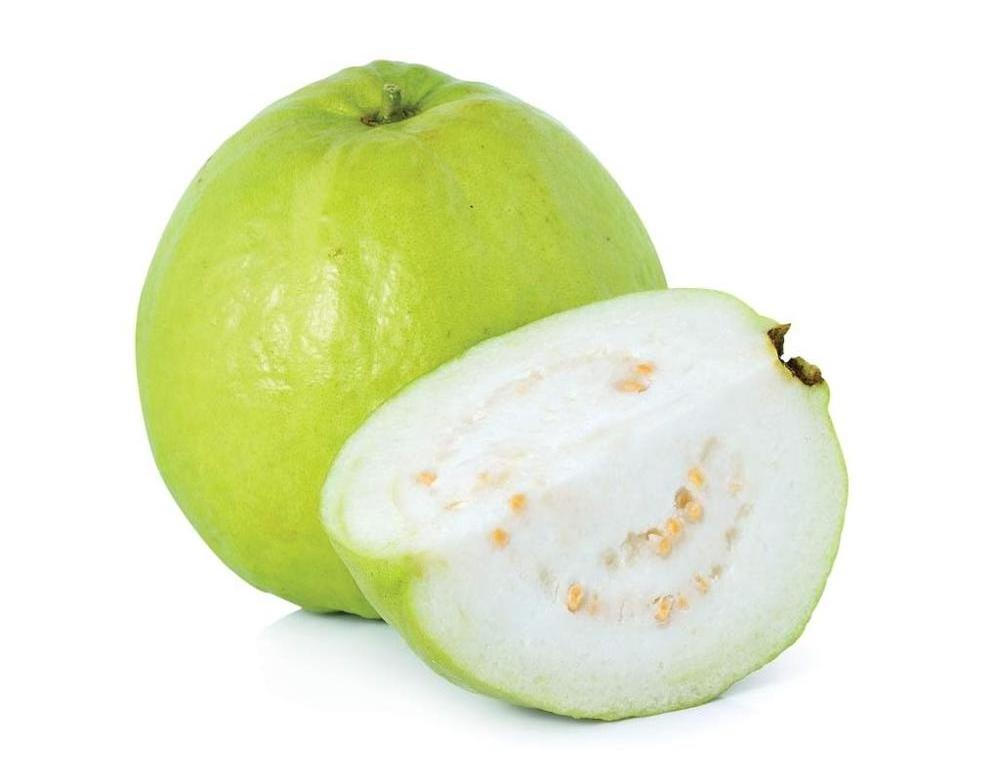 Guava Seed Oil Global Exporters or Suppliers