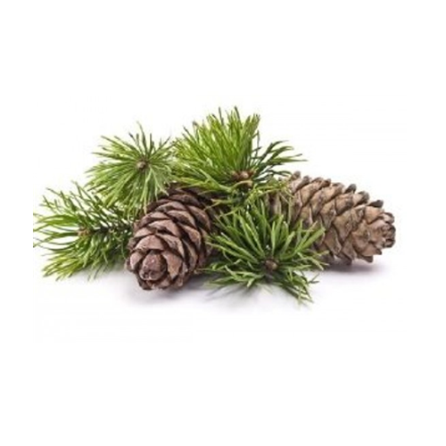 Top Cedarwood Essential Oil Suppliers at bulk prices