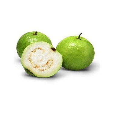 Guava Seed Oil Global Exporters or Suppliers