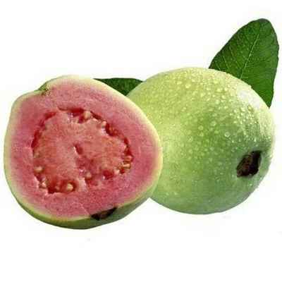 Guava Seed Carrier Oil