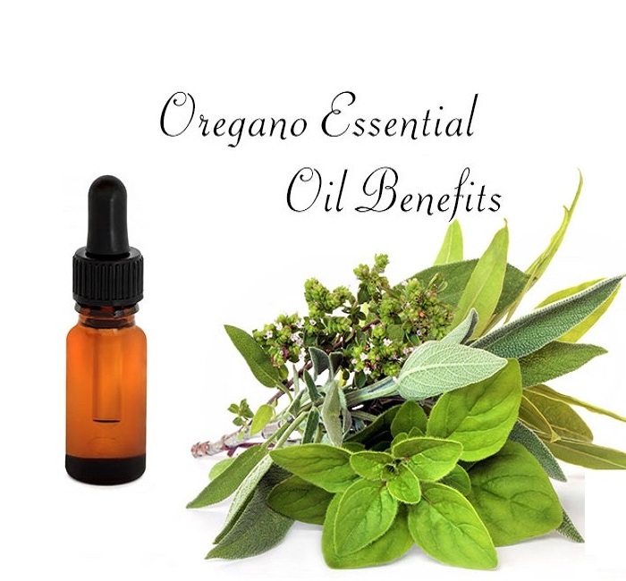 Top Grade Oregano essential Oil Wholesale Supply at low price