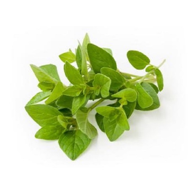 Top Grade Oregano essential Oil Wholesale Supply at low price