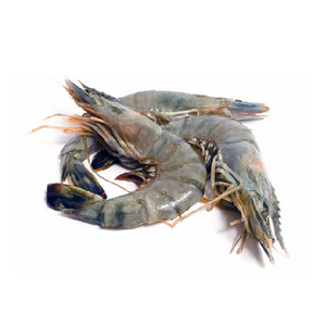 Black Tiger Shrimp Fresh 100% High Quality Export Oriented Frozen Shrimp from Bangladesh 150gm Kg Flavored from BD 10TONS